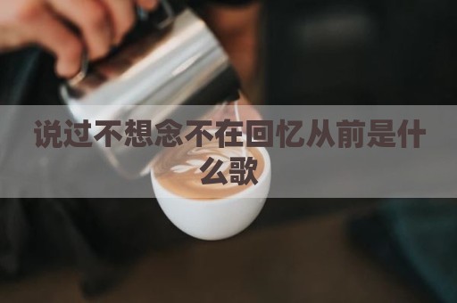 说过不想念不在回忆从前是什么歌