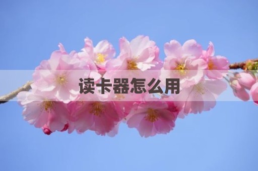 读卡器怎么用