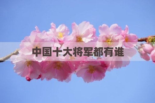 中国十大将军都有谁