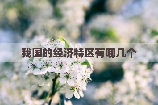 我国的经济特区有哪几个