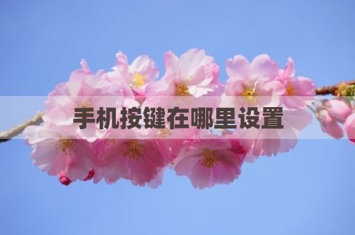 手机按键在哪里设置