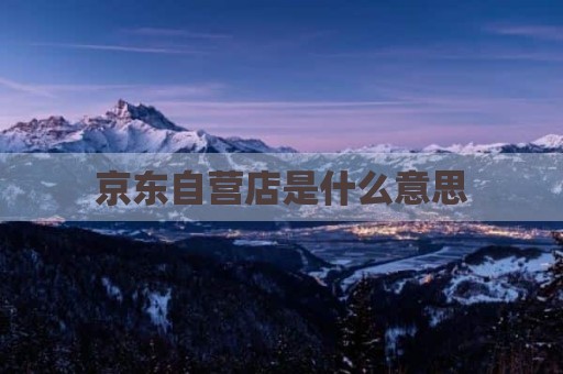 京东自营店是什么意思