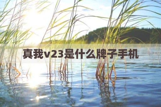 真我v23是什么牌子手机