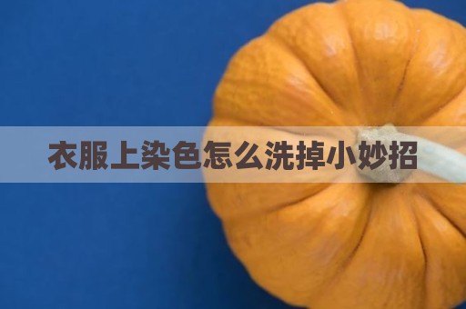 衣服上染色怎么洗掉小妙招