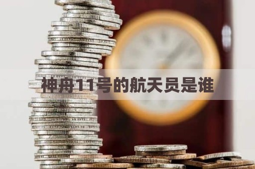神舟11号的航天员是谁