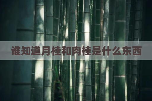 谁知道月桂和肉桂是什么东西