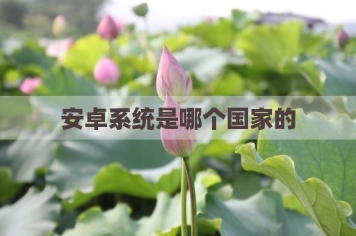 安卓系统是哪个国家的