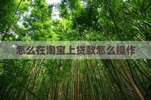 怎么在淘宝上贷款怎么操作