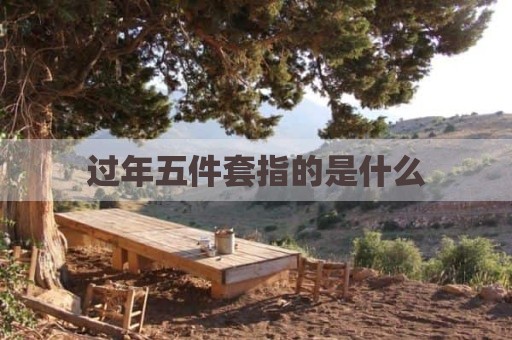 过年五件套指的是什么