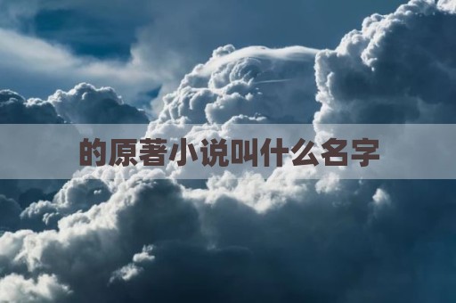 的原著小说叫什么名字