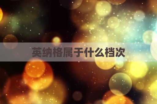 英纳格属于什么档次