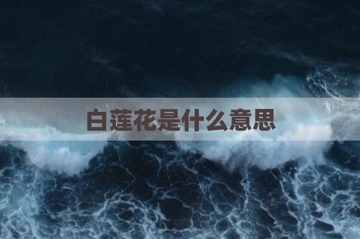 白莲花是什么意思