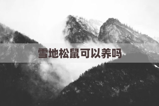 雪地松鼠可以养吗