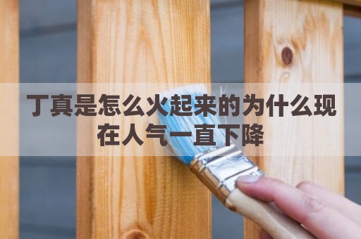 丁真是怎么火起来的为什么现在人气一直下降