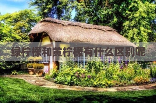 绿柠檬和黄柠檬有什么区别呢
