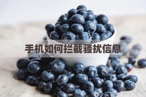 手机如何拦截骚扰信息