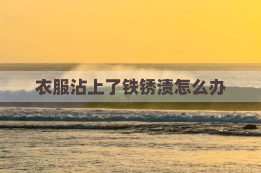 衣服沾上了铁锈渍怎么办