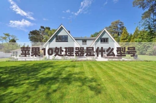 苹果10处理器是什么型号