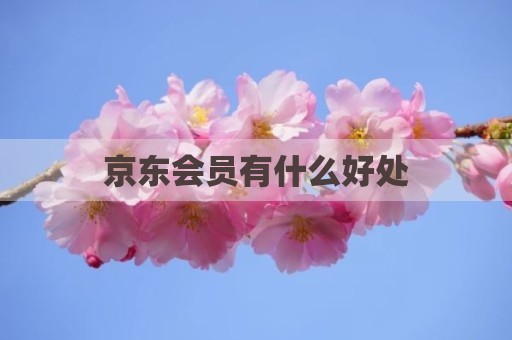 京东会员有什么好处