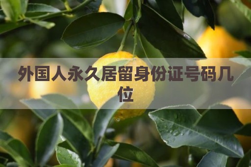 外国人永久居留身份证号码几位