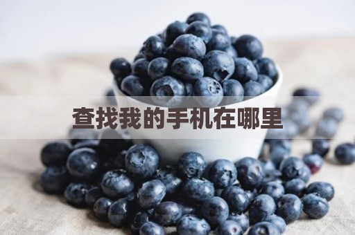 查找我的手机在哪里