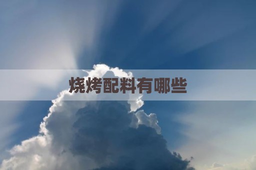 烧烤配料有哪些