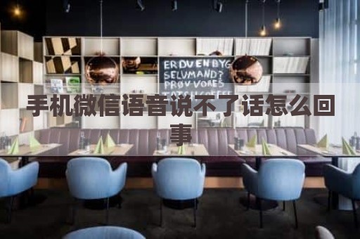 手机微信语音说不了话怎么回事