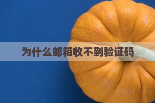 为什么邮箱收不到验证码