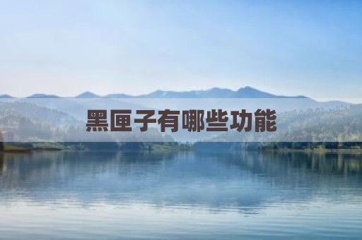 黑匣子有哪些功能