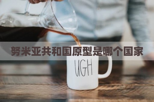 努米亚共和国原型是哪个国家
