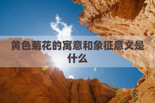 黄色菊花的寓意和象征意义是什么