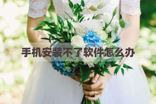 手机安装不了软件怎么办