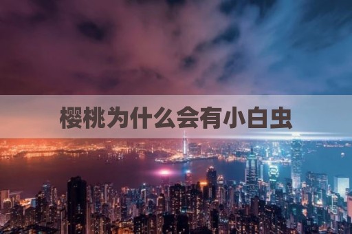 樱桃为什么会有小白虫