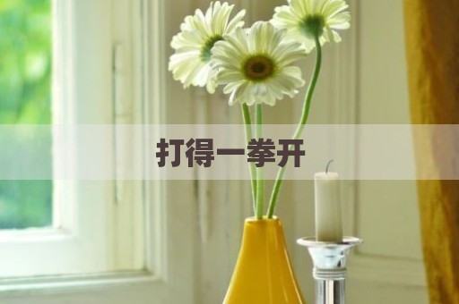 打得一拳开