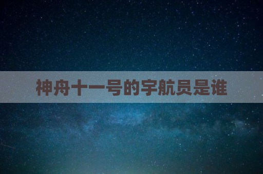神舟十一号的宇航员是谁