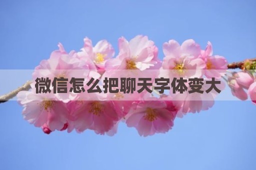 微信怎么把聊天字体变大