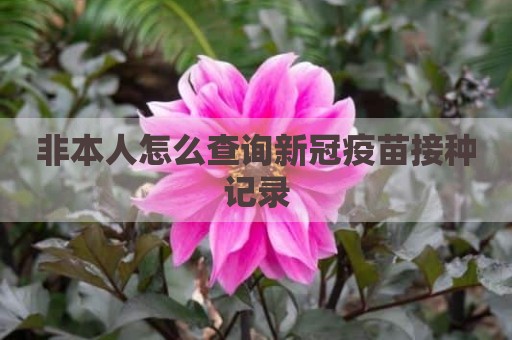 非本人怎么查询新冠疫苗接种记录