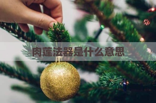 肉莲法器是什么意思