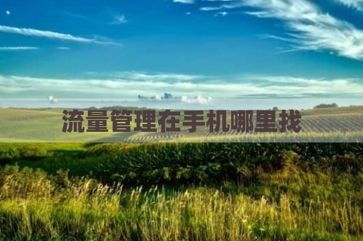 流量管理在手机哪里找