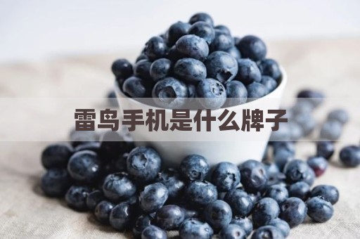 雷鸟手机是什么牌子