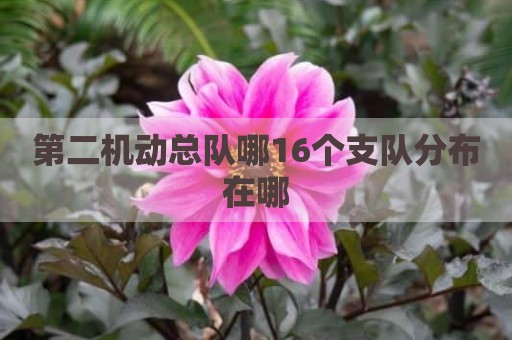 第二机动总队哪16个支队分布在哪