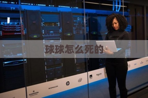 球球怎么死的