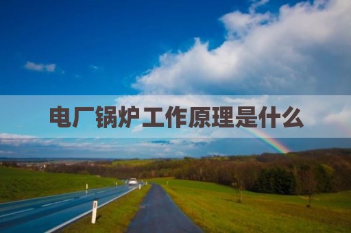 电厂锅炉工作原理是什么