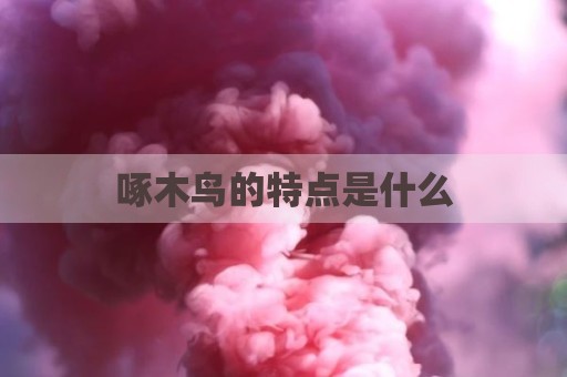啄木鸟的特点是什么