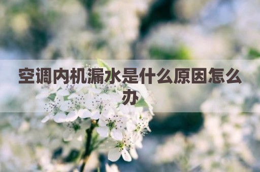 空调内机漏水是什么原因怎么办