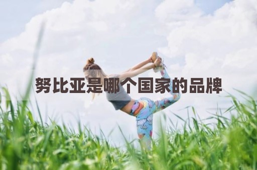 努比亚是哪个国家的品牌