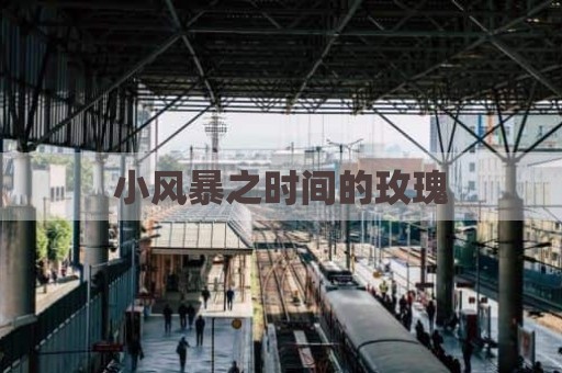 小风暴之时间的玫瑰