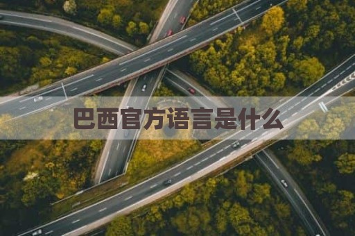 巴西官方语言是什么