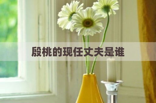 殷桃的现任丈夫是谁
