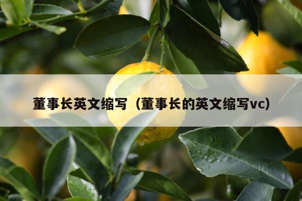 董事长英文缩写（董事长的英文缩写vc） 第1张